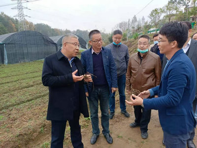 縣政府一行領(lǐng)導(dǎo)高度肯定