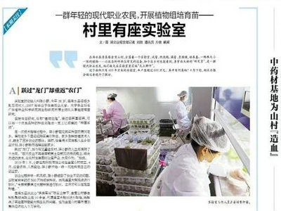 湖北日?qǐng)?bào)報(bào)道宣傳