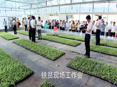 扶貧工作會(huì)報(bào)道宣傳