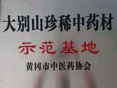 大別山珍稀中藥材示范基地